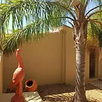 Quinta Pereiro Tropic Garden, Algarve Bed and breakfast
