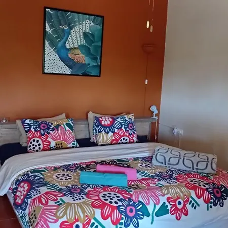 Bed & Breakfast Quinta Pereiro Tropic Garden, Algarve