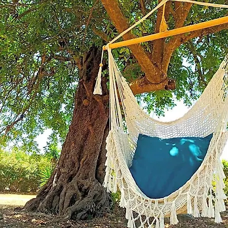 Quinta Pereiro Tropic Garden, Algarve Couette-café Moncarapacho